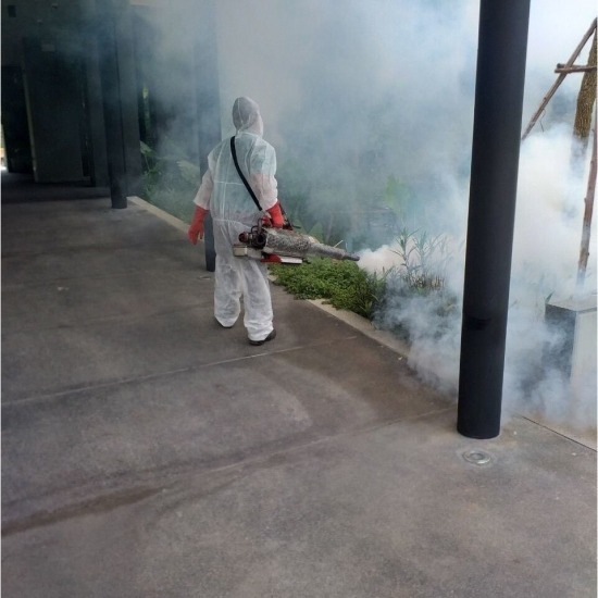 บริษัทฉีดพ่นยุง หาดใหญ่ - บริษัทกําจัดปลวก หาดใหญ่ - มินิ บั๊ค