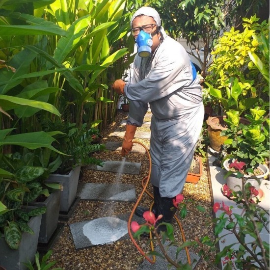 บริษัทกำจัดปลวก หาดใหญ่ บริษัทกำจัดปลวก หาดใหญ่