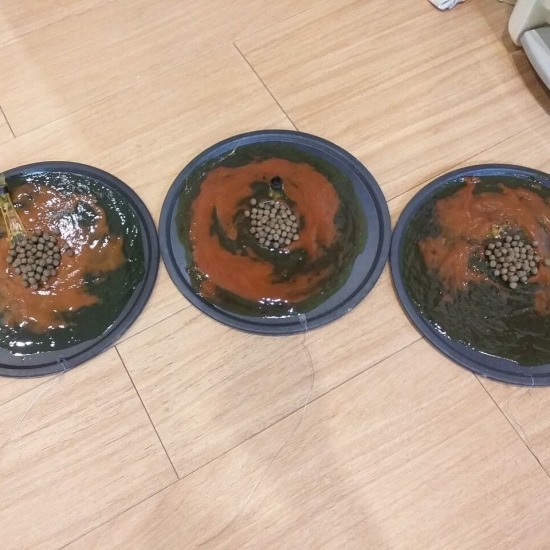 บริษัทกำจัดหนู หาดใหญ่ บริษัทกำจัดหนู หาดใหญ่