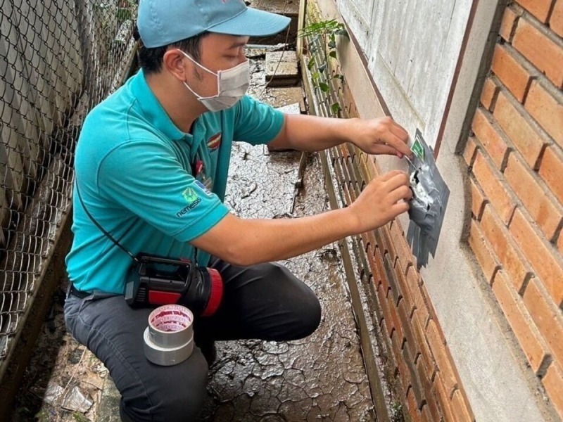 กำจัดปลวก หาดใหญ่