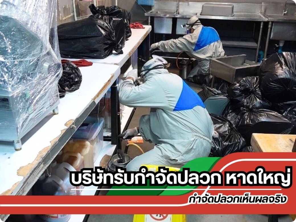 บริษัทรับกำจัดปลวก หาดใหญ่