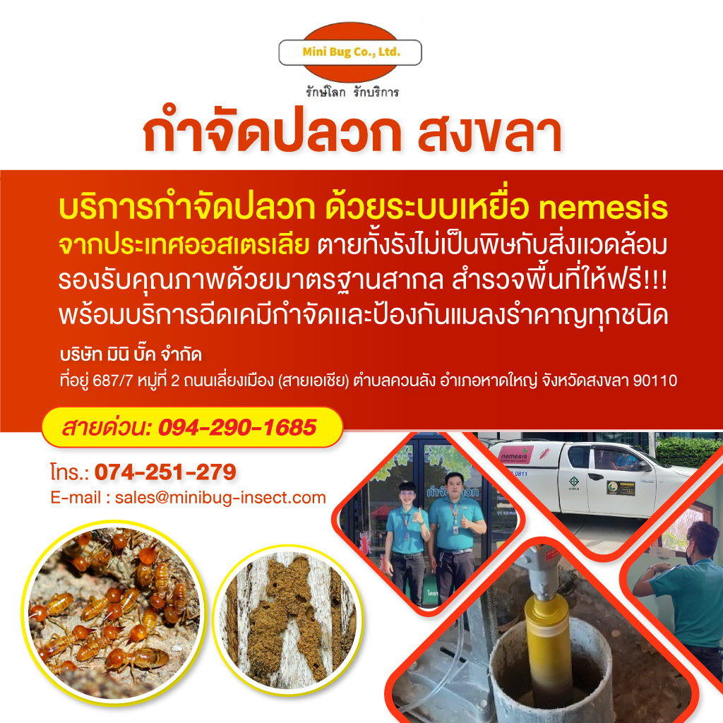 บริษัทกําจัดปลวก หาดใหญ่ - มินิ บั๊ค