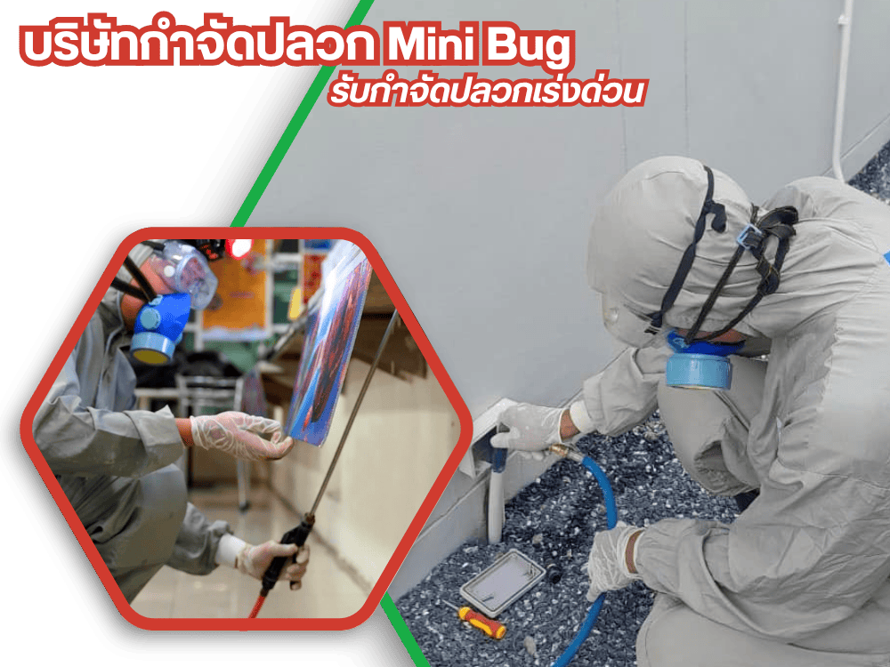 หาบริษัทรับกำจัดปลวก หาดใหญ่